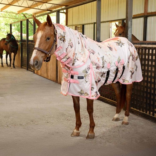 Horse sheet jeffers expression - horse,